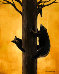 Bears climbing tree