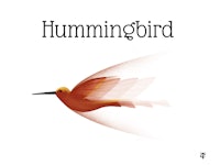 Hummingbird